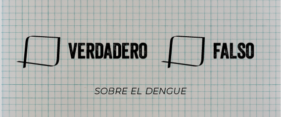 Verdadero o Falso sobre el Dengue (+10 años)